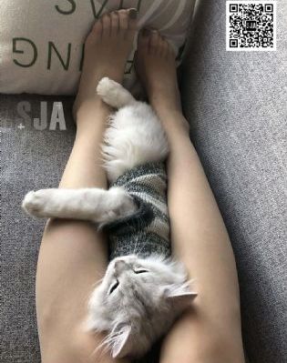 舒淇一级毛片免费观看_1080HD在线观看